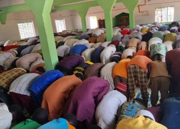 46ffc624-ea65-4d5f-94eb-864bf4a7ae7c-768×432[1]